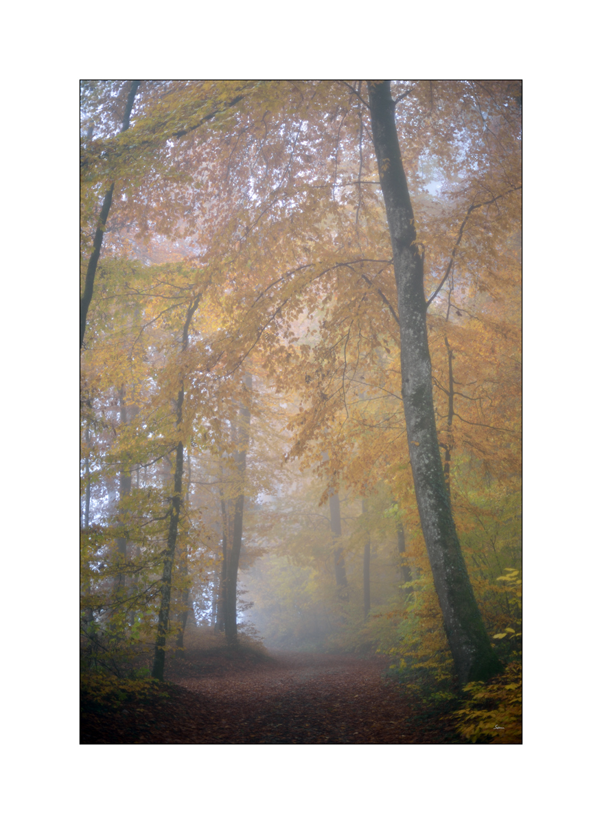 MorgenPZ1 9126