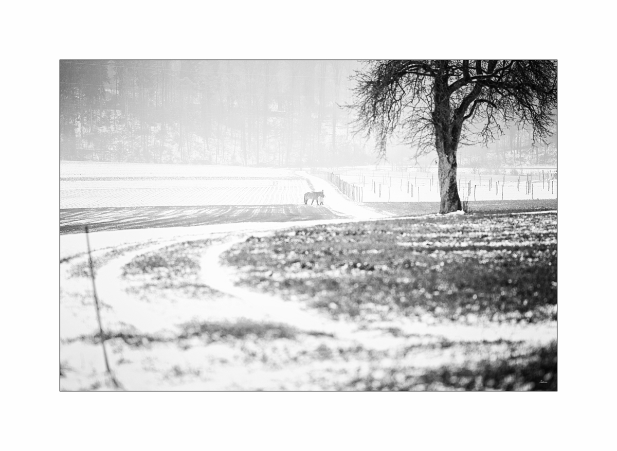 MorgenPZ1 9160