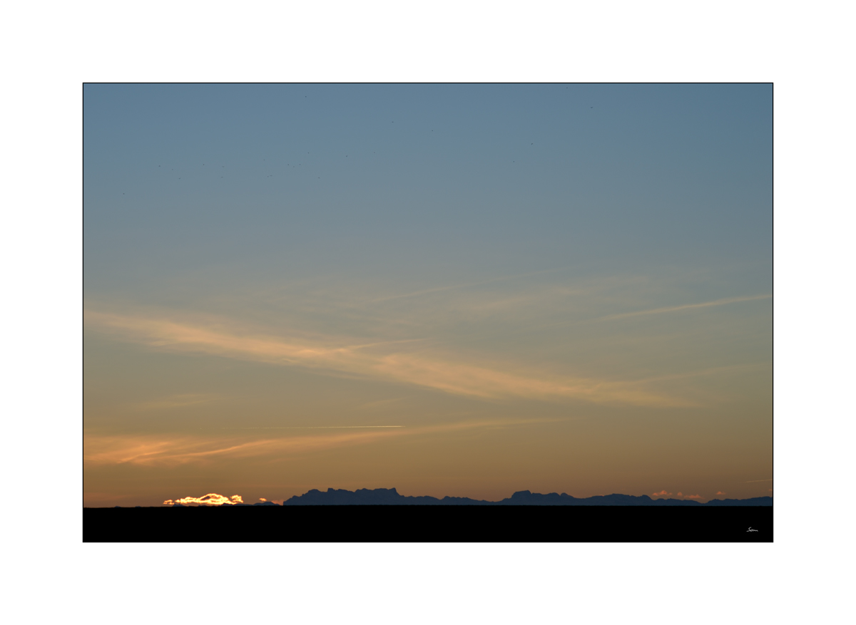 MorgenPZ1 9215 00006