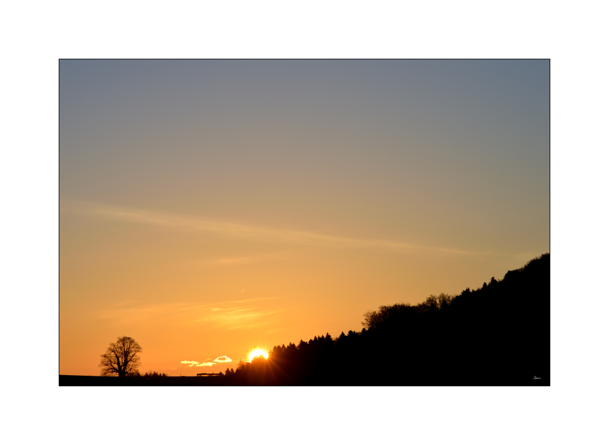 MorgenPZ1 9217 00008