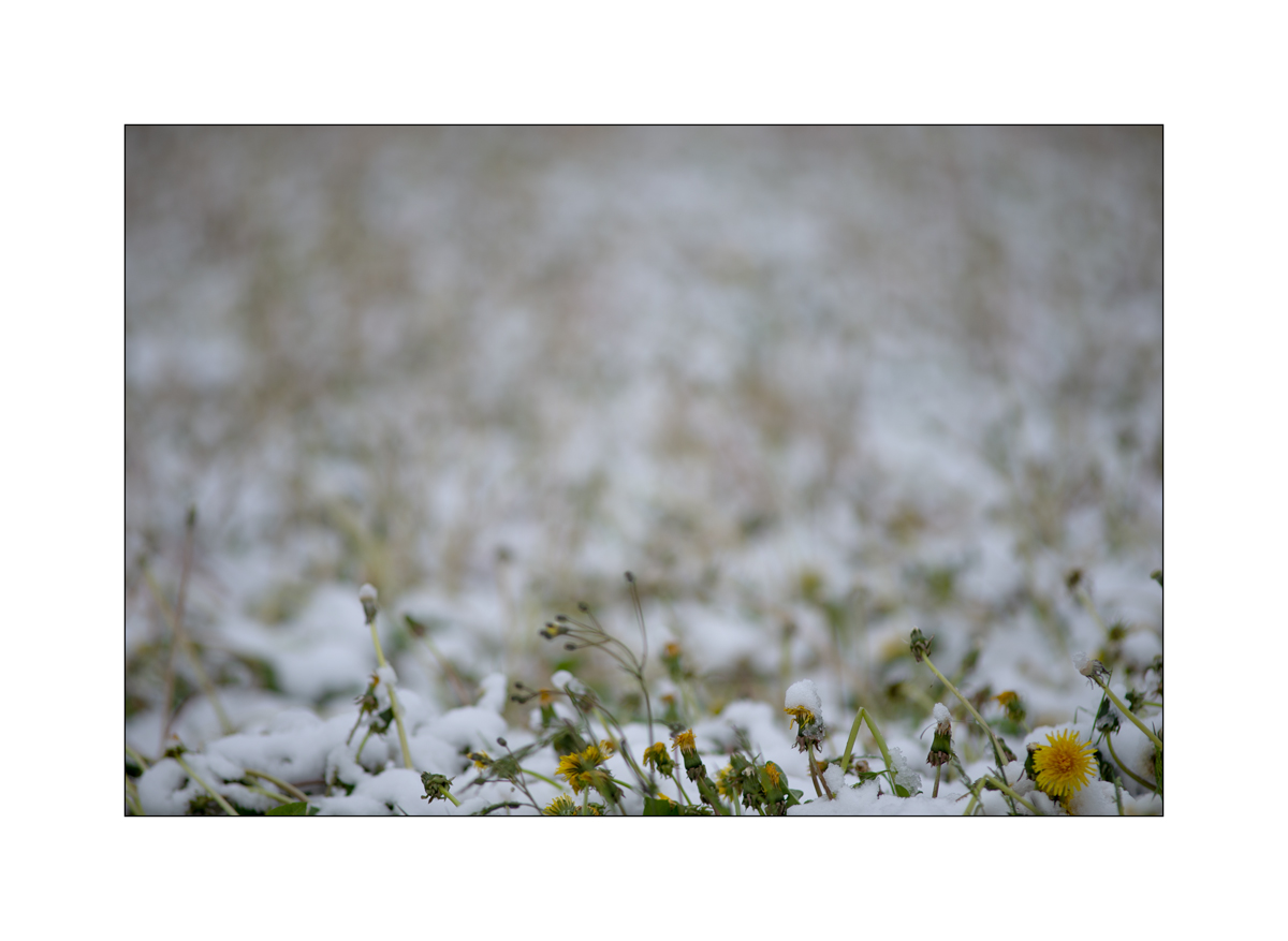 MorgenPZ1_1203.jpg