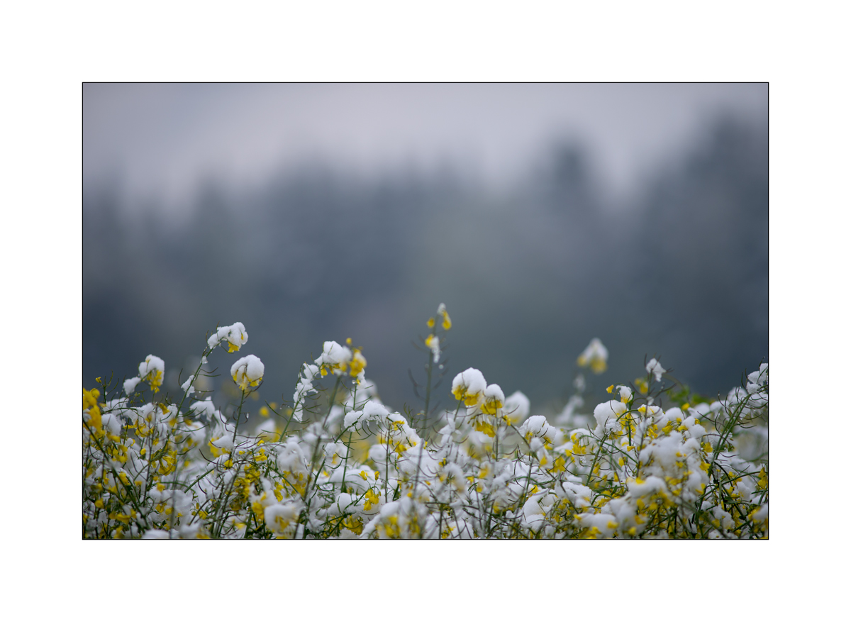 MorgenPZ1_1204.jpg