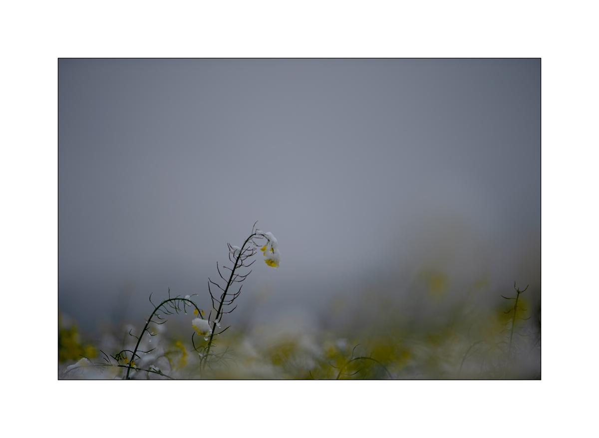 MorgenPZ1_1205.jpg