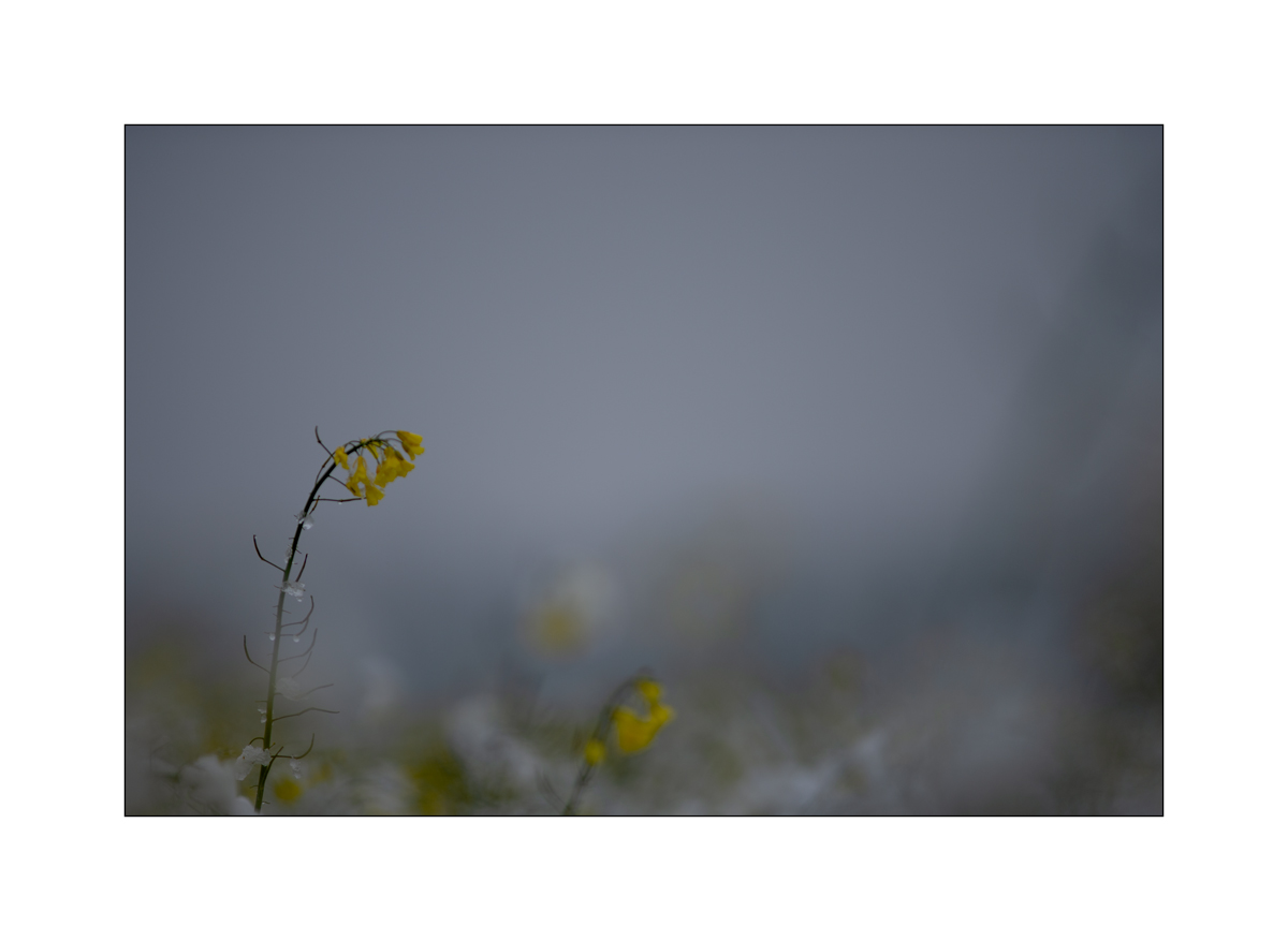 MorgenPZ1_1206.jpg