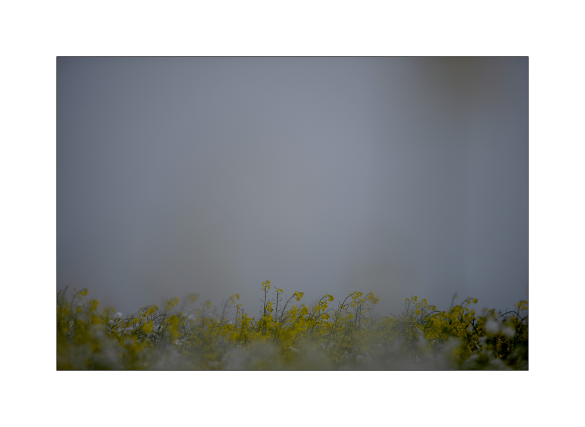 MorgenPZ1_1207.jpg