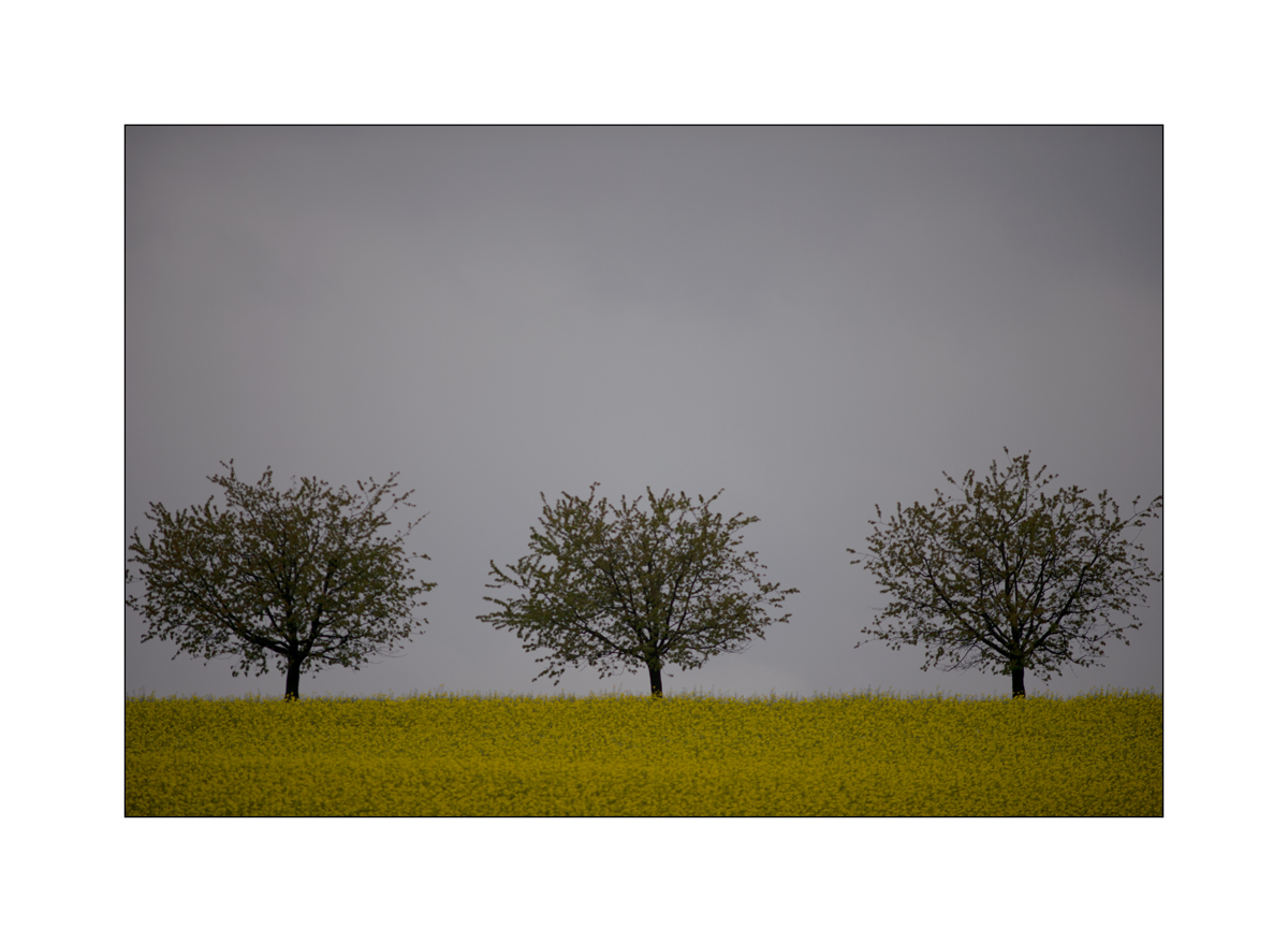 MorgenPZ1_1208.jpg