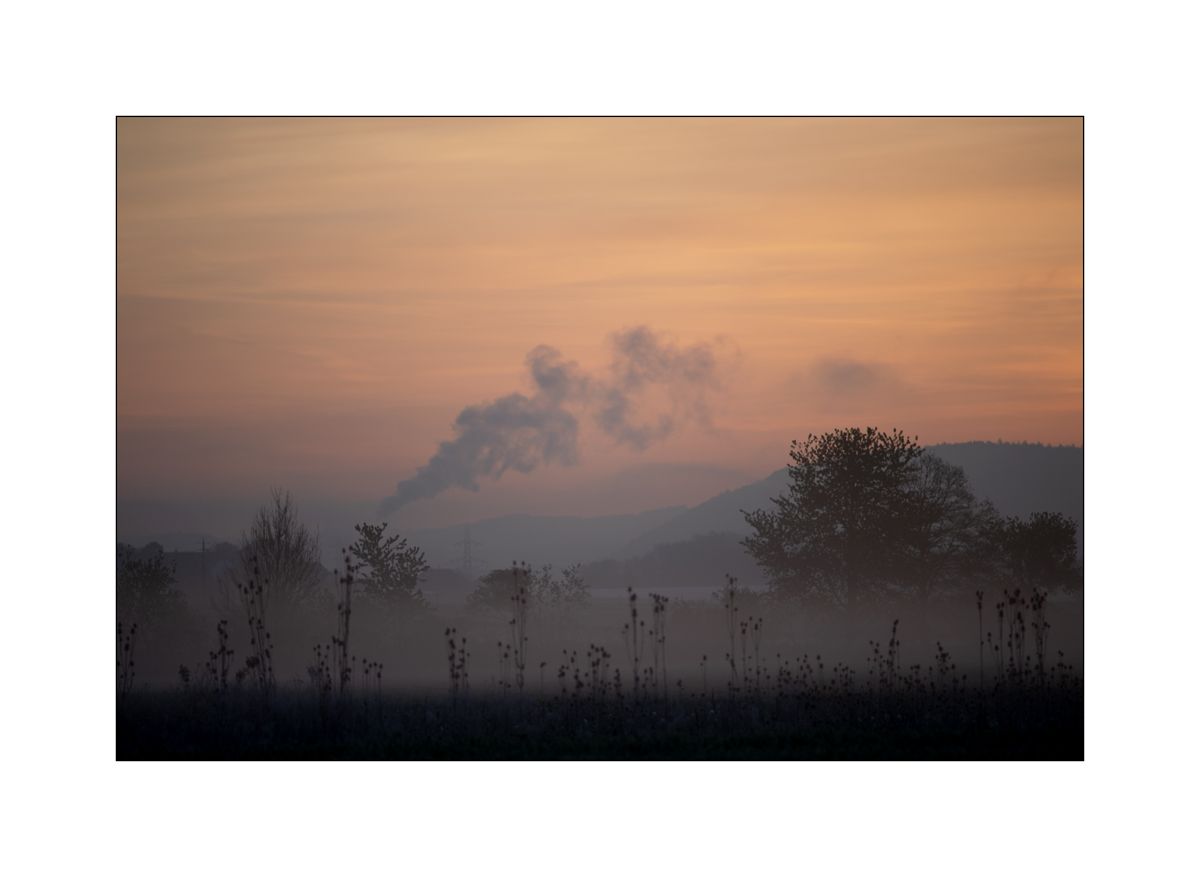MorgenPZ1_1238.jpg