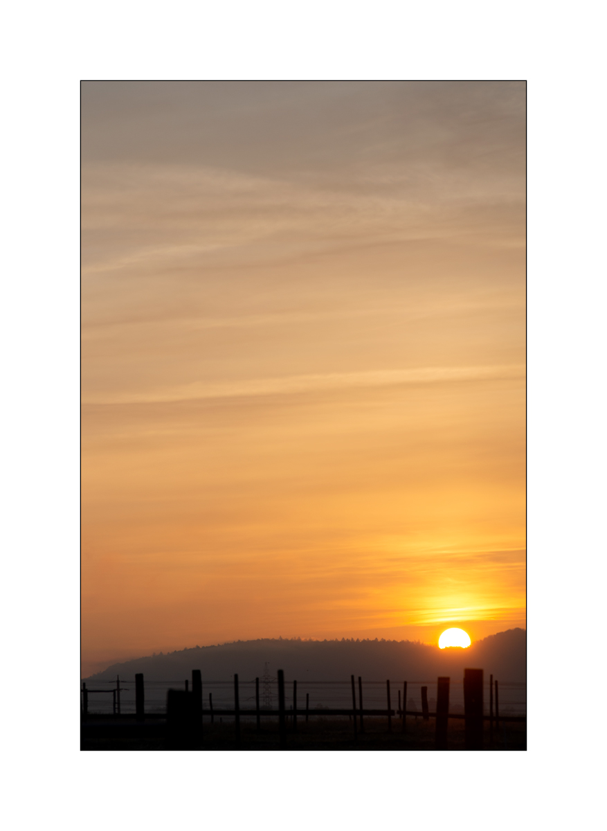 MorgenPZ1_1240.jpg