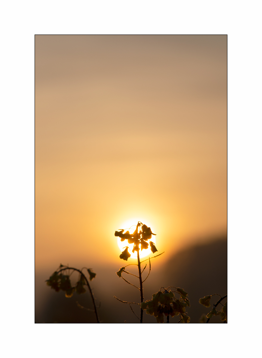 MorgenPZ1_1241.jpg