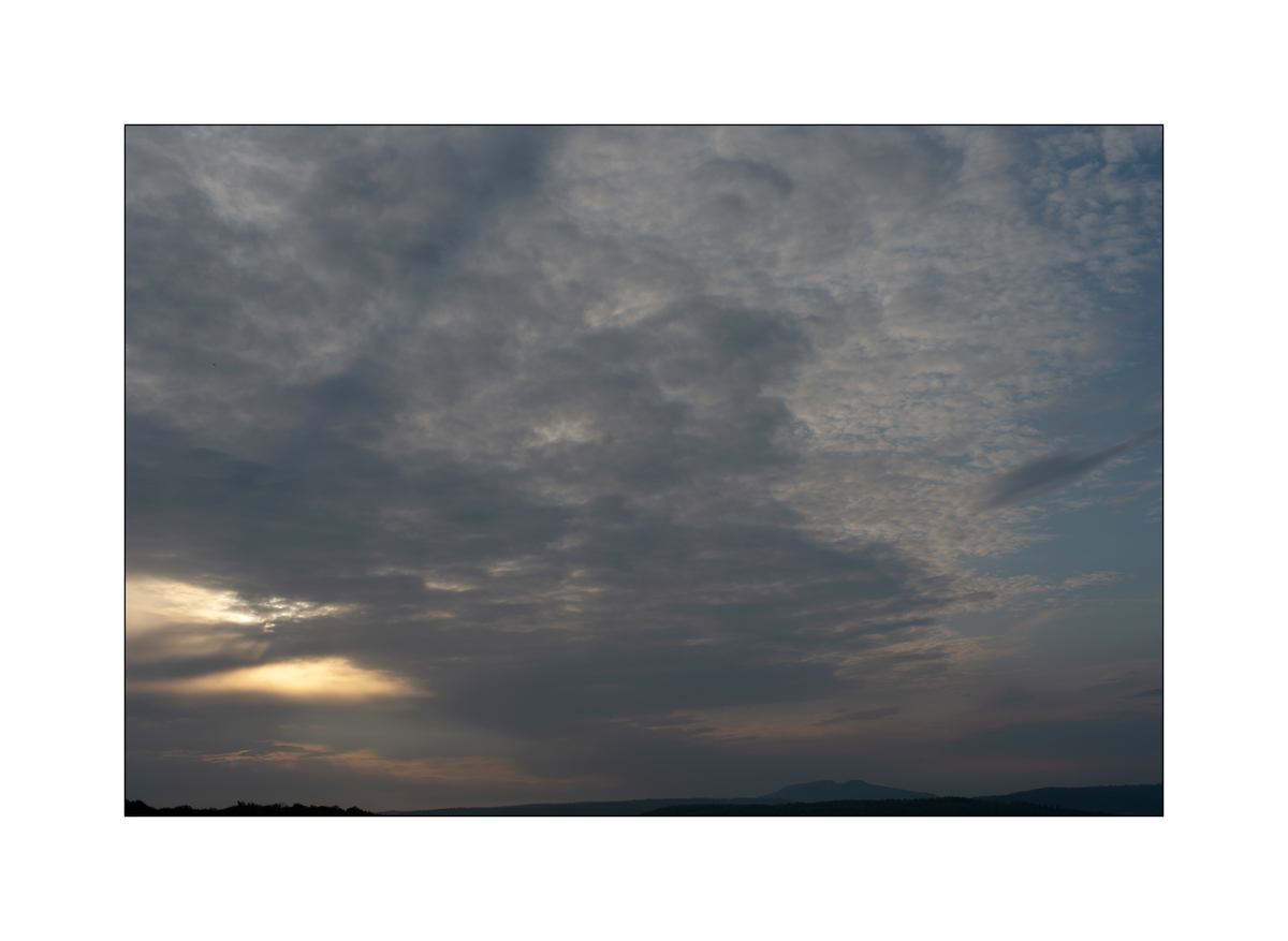MorgenPZ1_1623.jpg