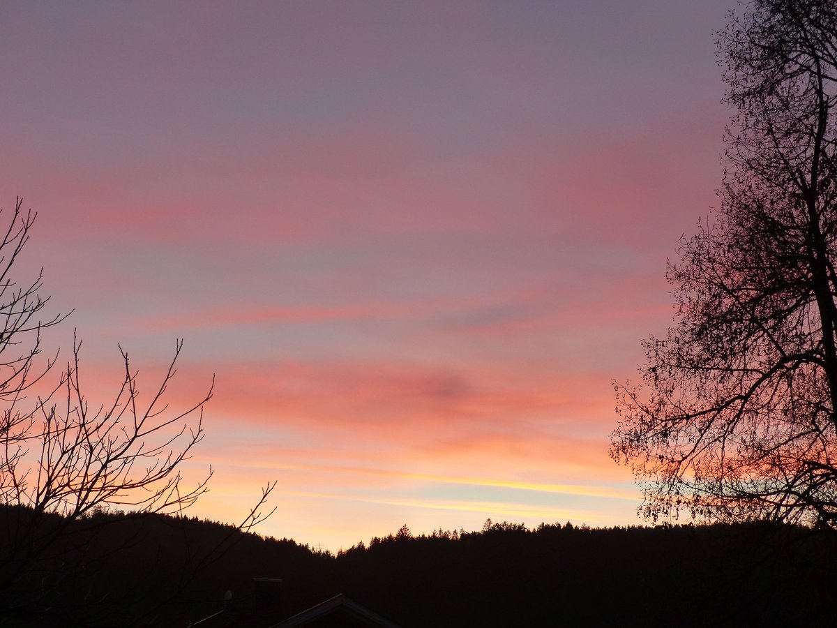 Morgenrot