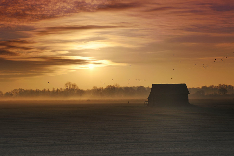 Morgens im Emsland