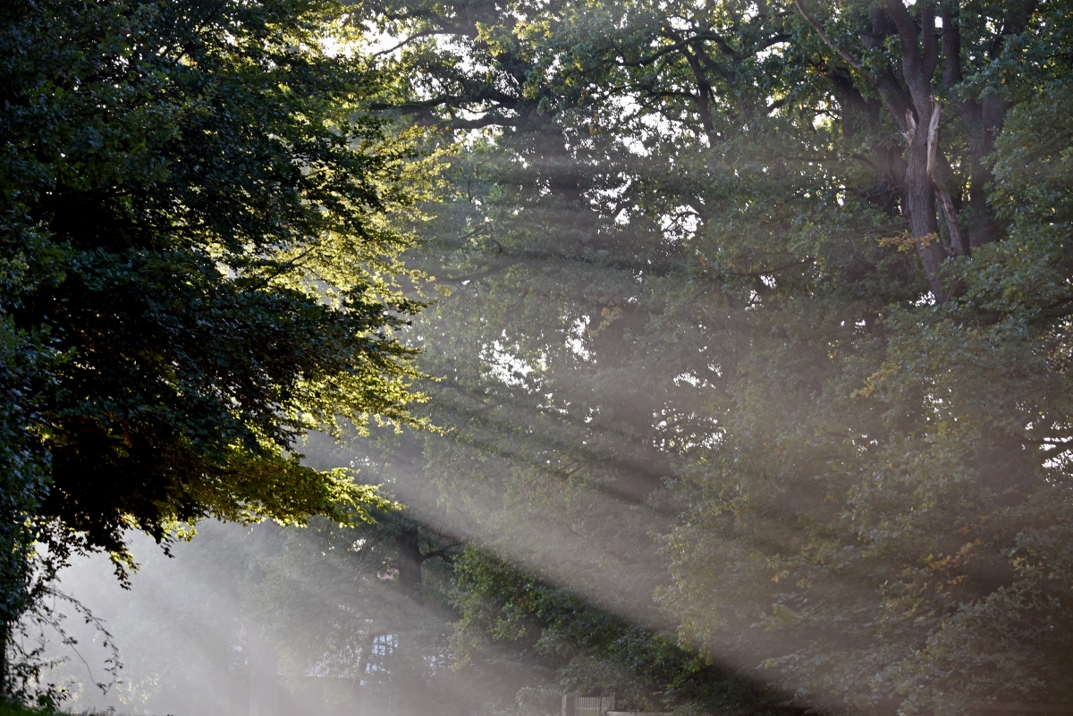 morgensonne.JPG