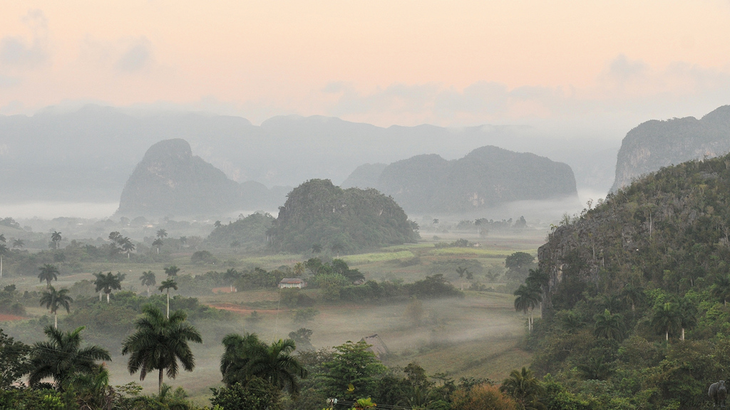Morgenstimmung im Valle de Vinales 
6546a