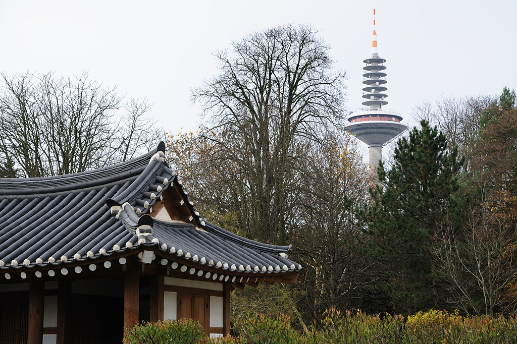 Morgentau-Pavillon und Ginheimer Spargel
