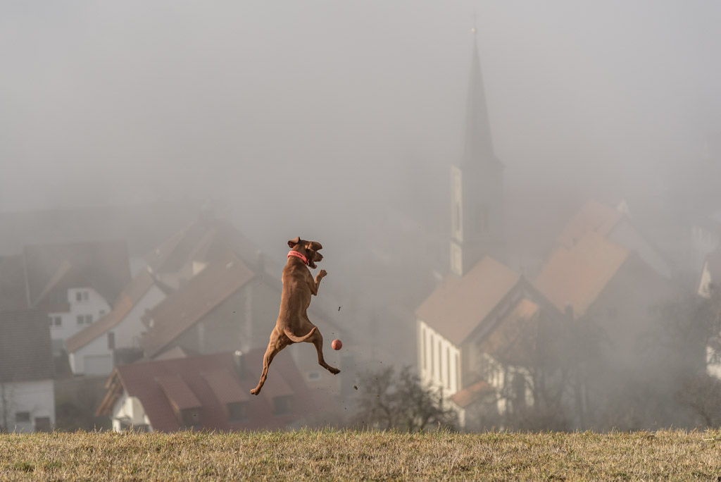 Morning Jump