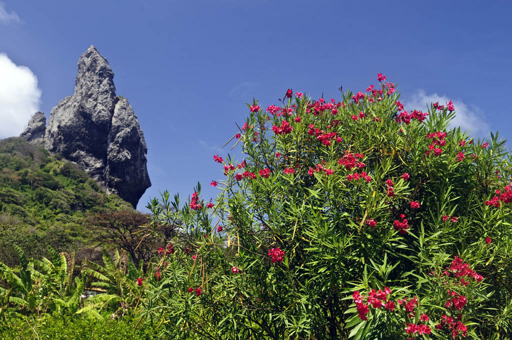 Morro do Pico - Fernando de Noronha