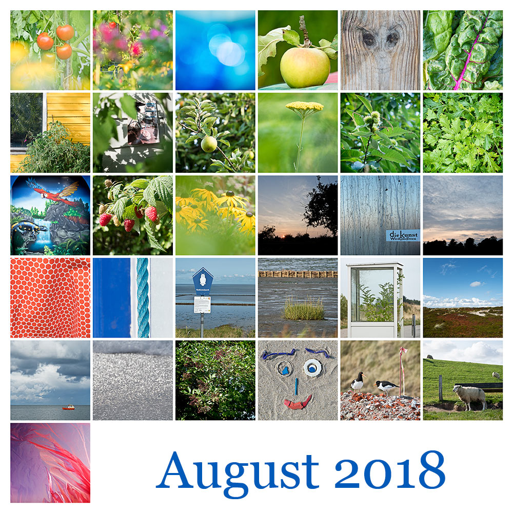 Mosaik 2018 08
