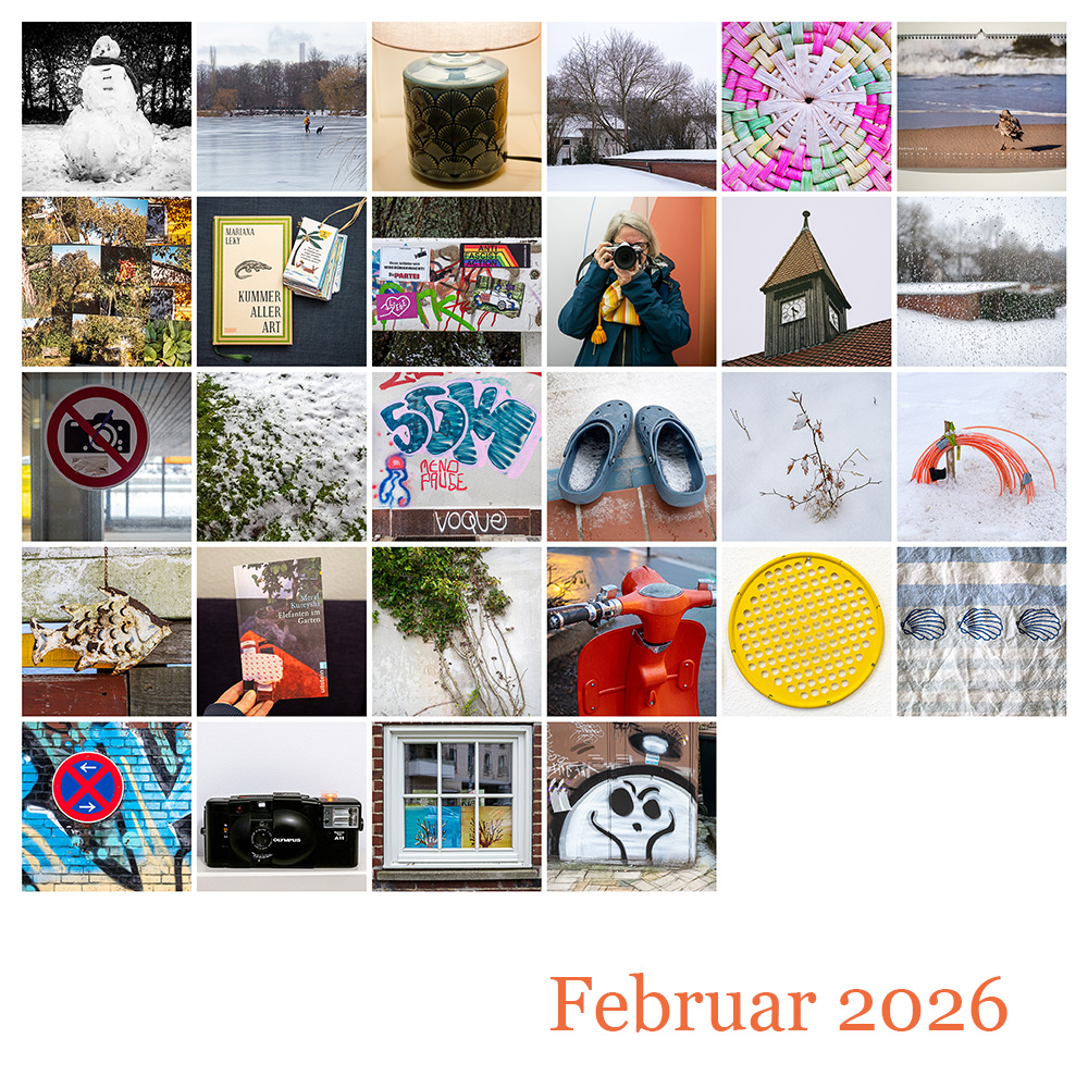 Mosaik 365 Februar 2026 © 2026 Sabine Lommatzsch