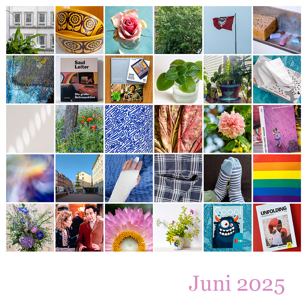 Mosaik 365 Juni 2025 © 2025 Sabine Lommatzsch