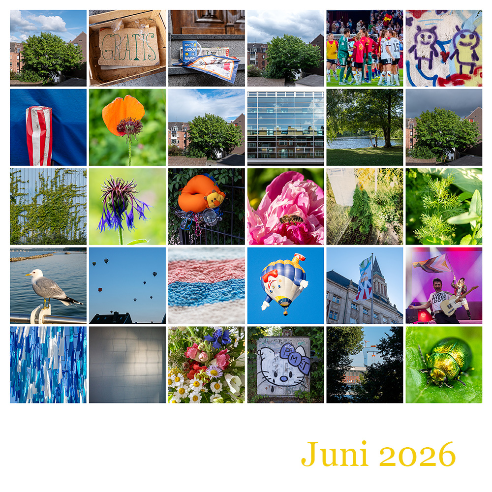 Mosaik 365 Juni 2026 © 2026 Sabine Lommatzsch