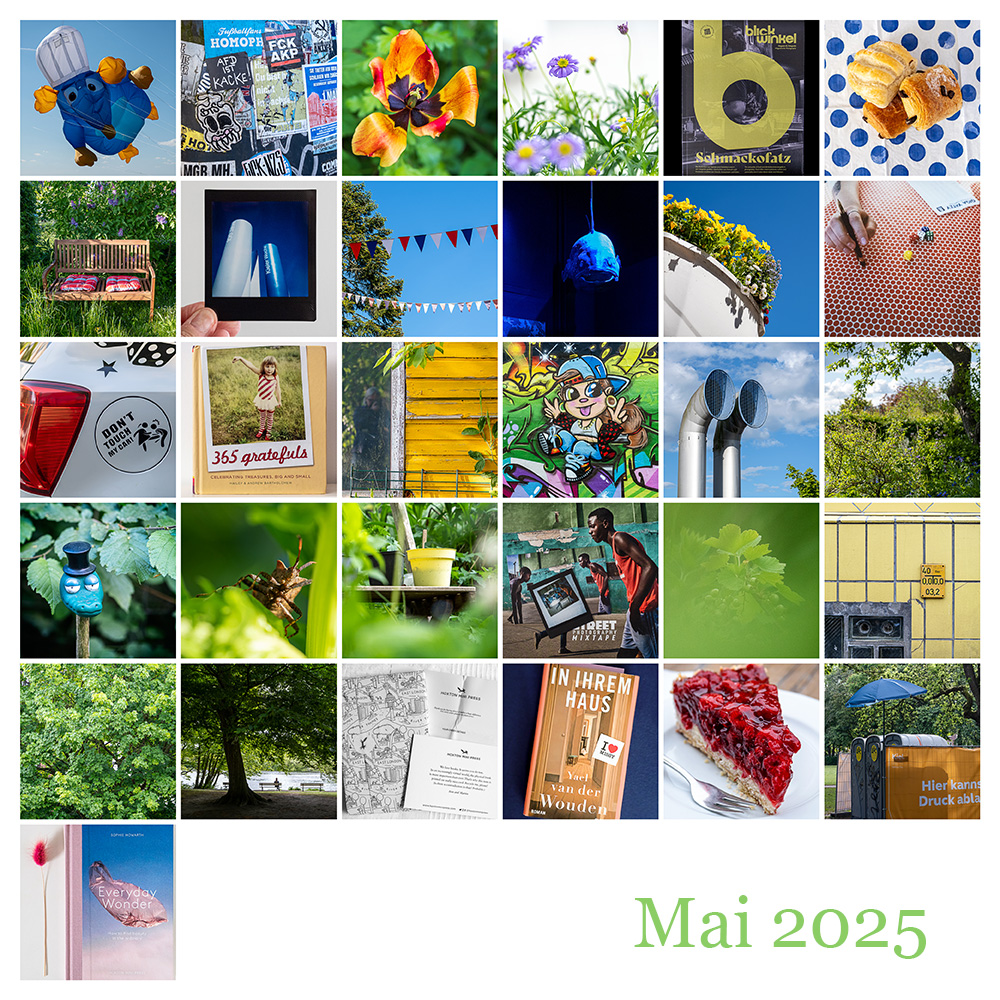 Mosaik 365 Mai 2025 © 2025 Sabine Lommatzsch