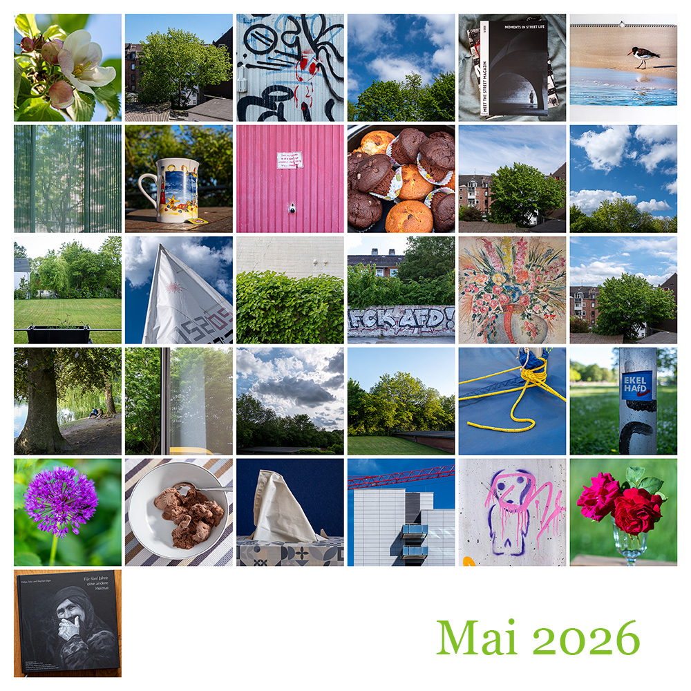 Mosaik 365 Mai 2026 © 2026 Sabine Lommatzsch