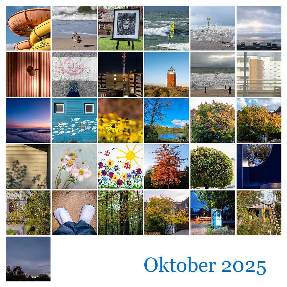 Mosaik 365 Oktober 2025 © 2025 Sabine Lommatzsch