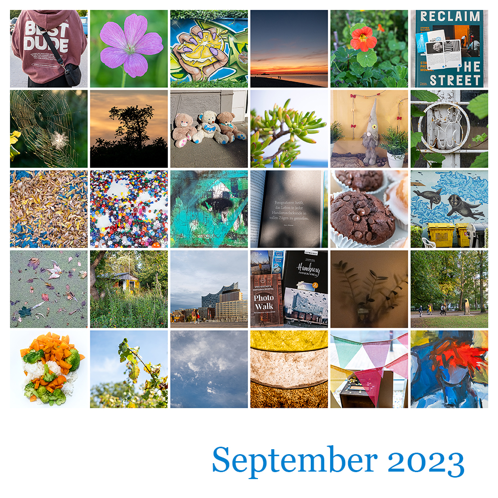Mosaik 365 September 2023