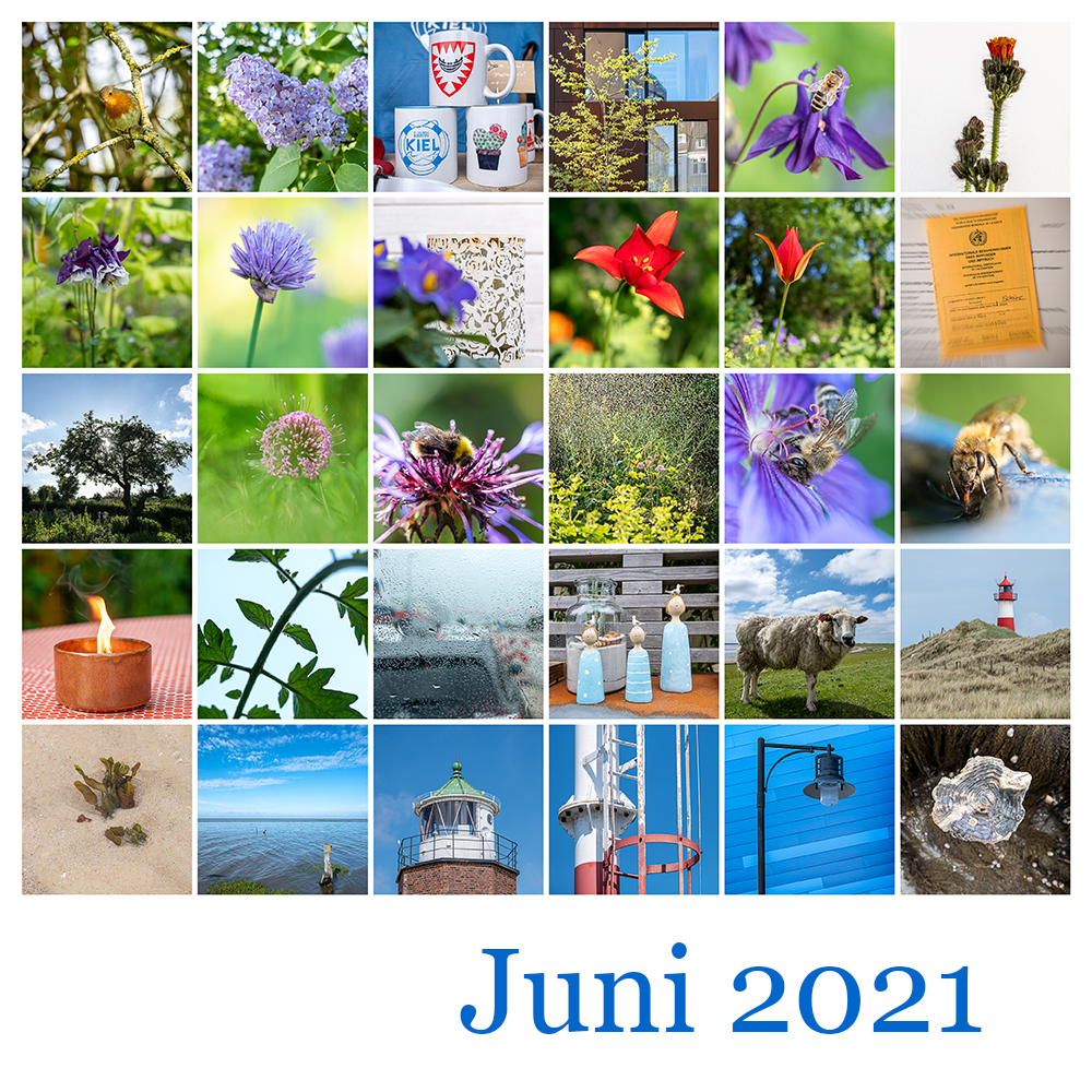 Mosaik Juni 2021