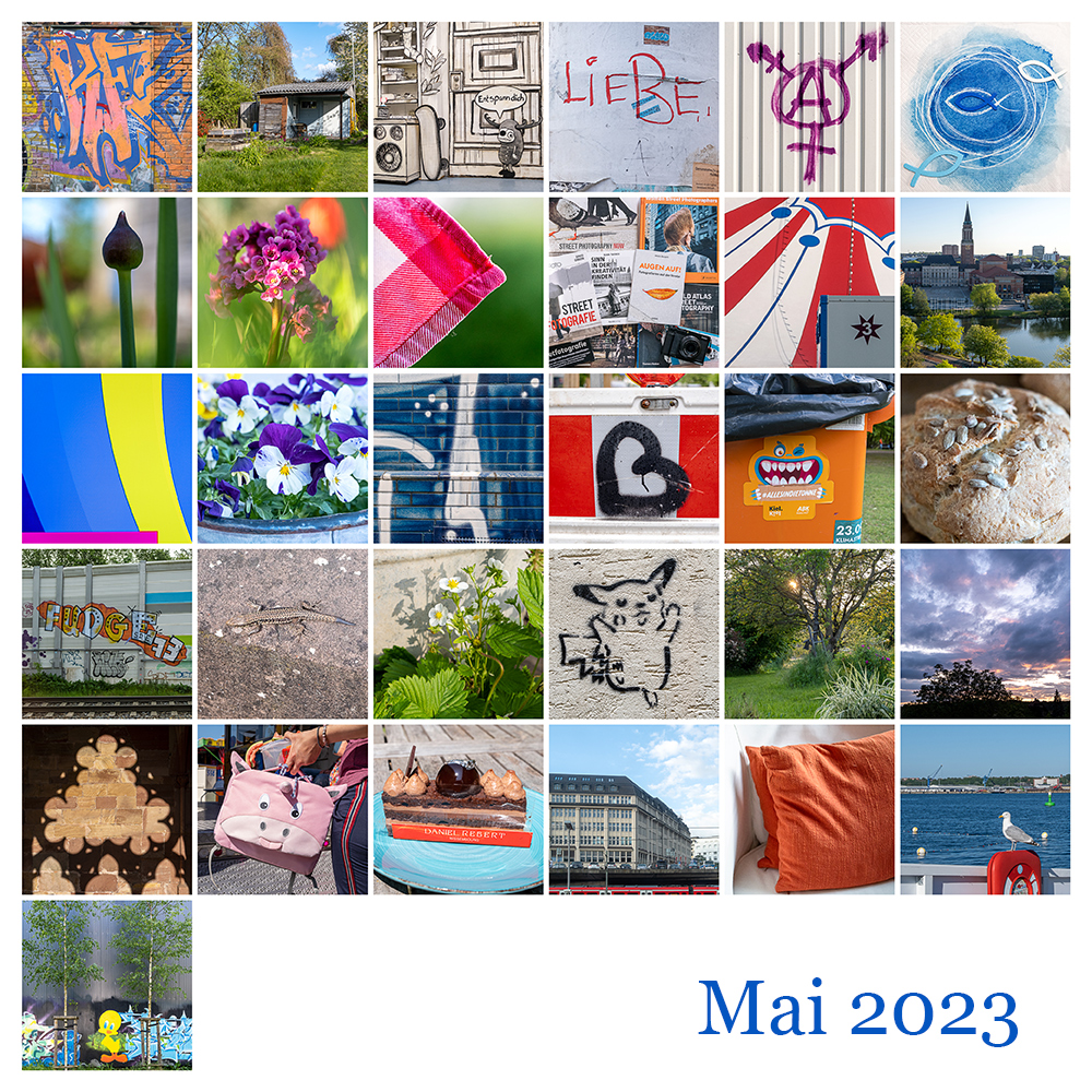 Mosaik Mai 2023
