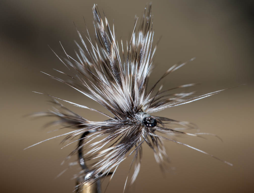 Mosquito