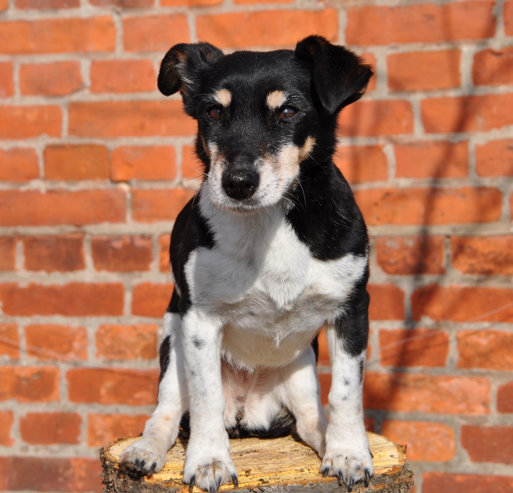 Motte,16 Jahre