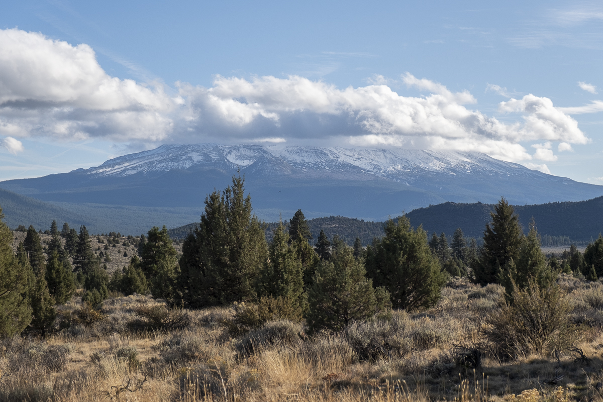 Mount Shasta.jpg