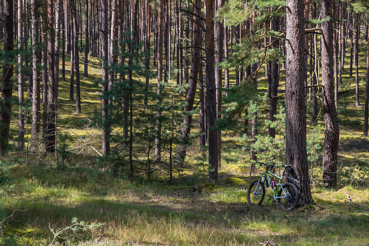 Mountainbike im Wierener Wald (1 von 1).JPG