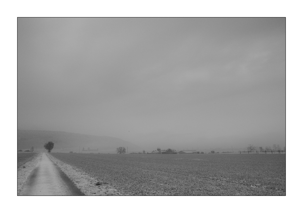 MozartDSC 5683