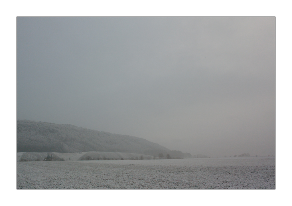 MozartDSC 5684