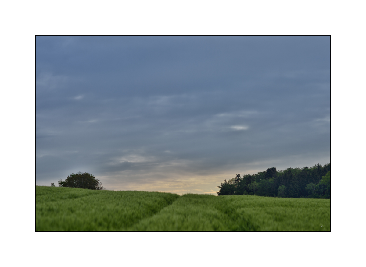 MozartPZ1 4093