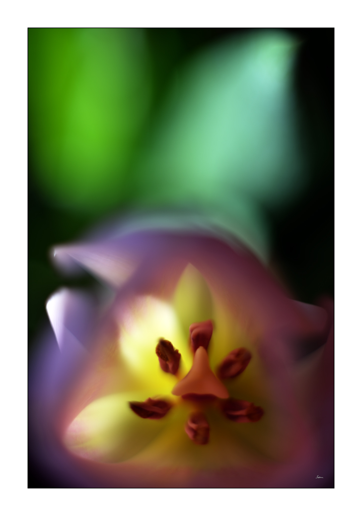MozartPZ1 4958