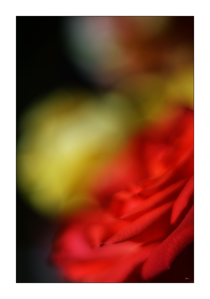 MozartPZ1 4965
