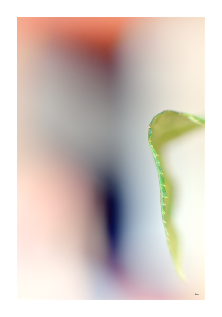 MozartPZ1 5485