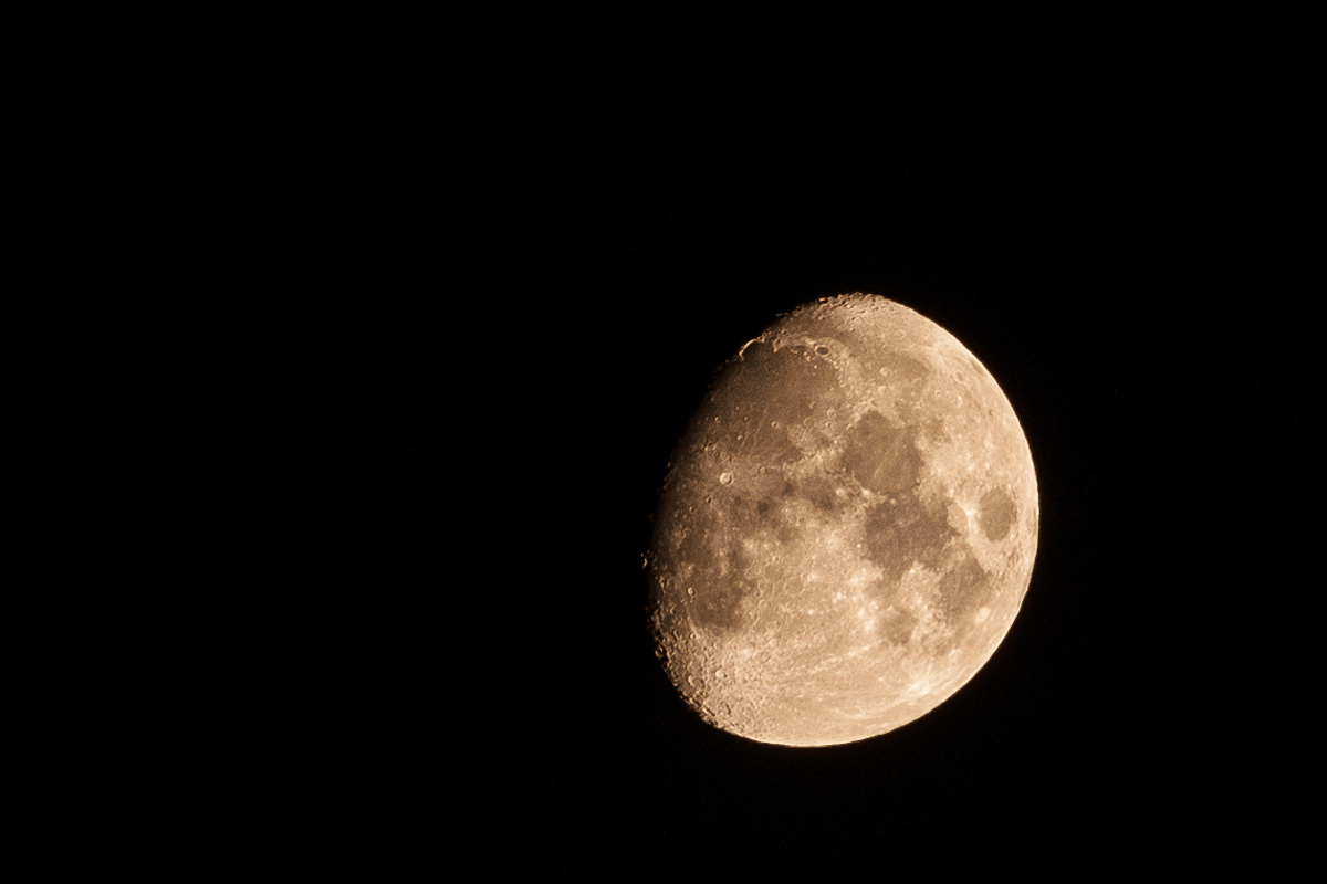 MRX_4437 50.jpg