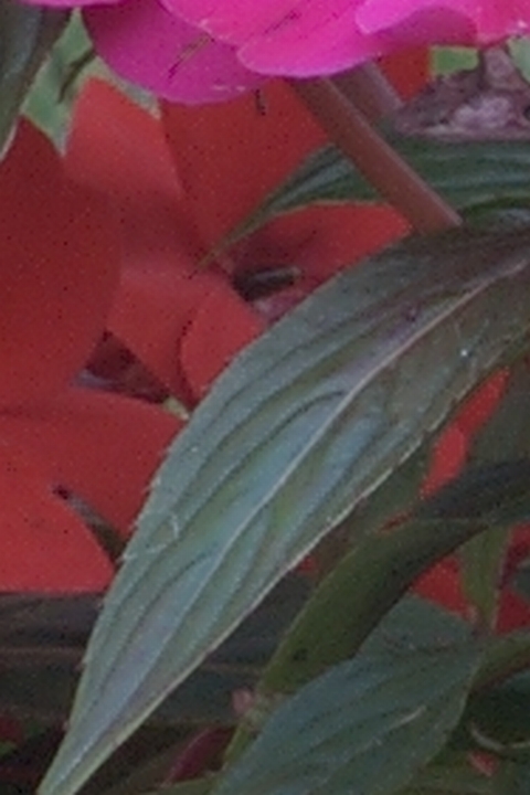 MTE 3966 rt3 2