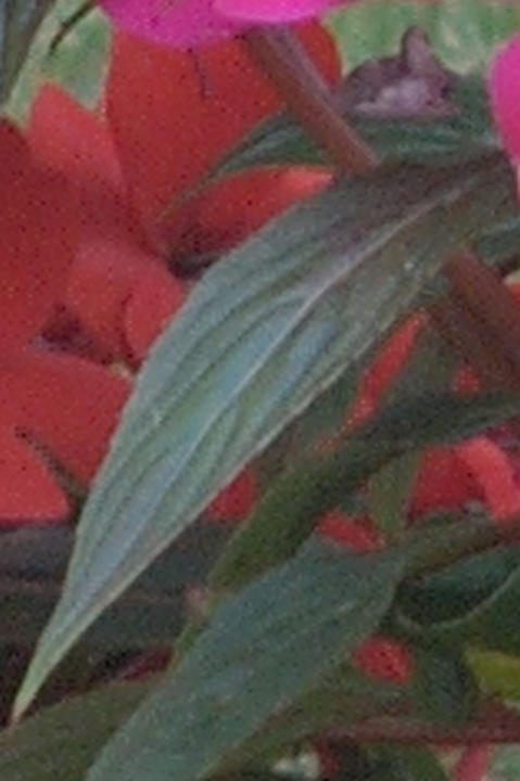 MTE 3967 rt3 2