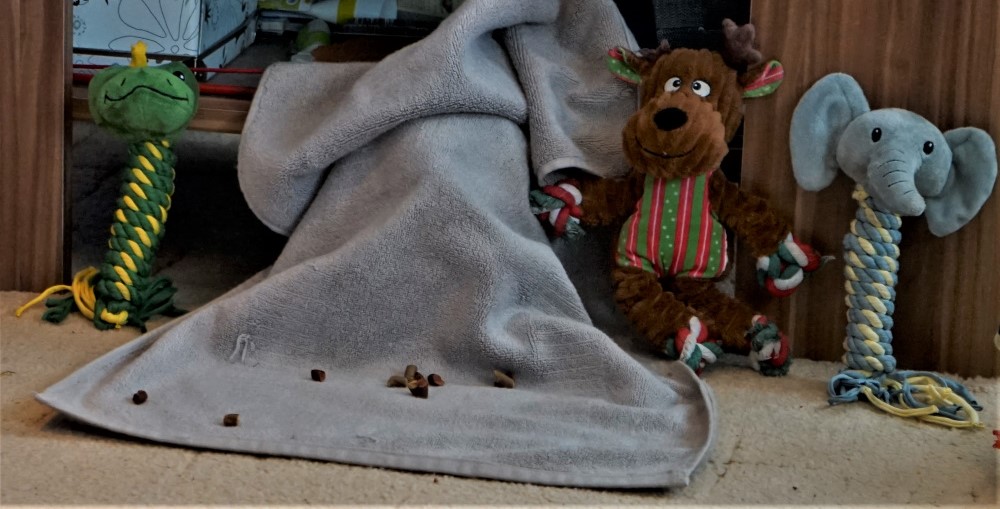 Mußte meine Osterüberraschung selber suchen...
