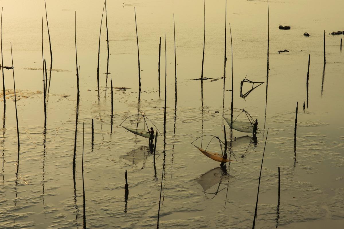 Mudfields 02