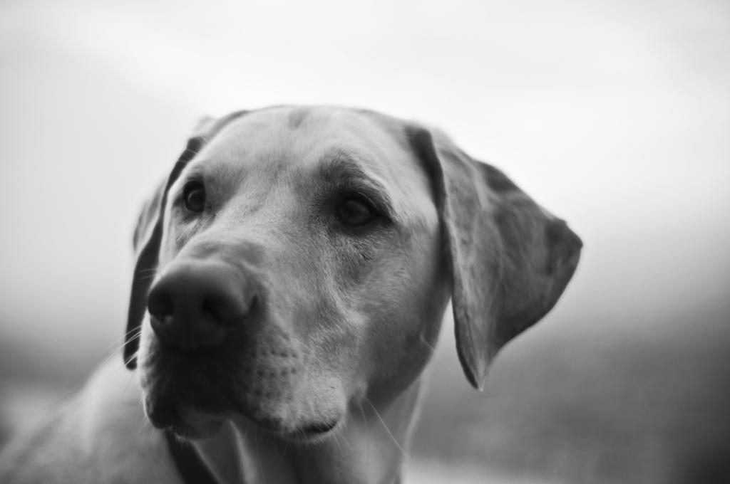 Murphy SW