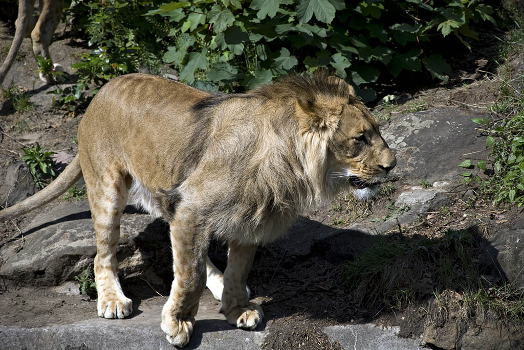 Muskelkater II