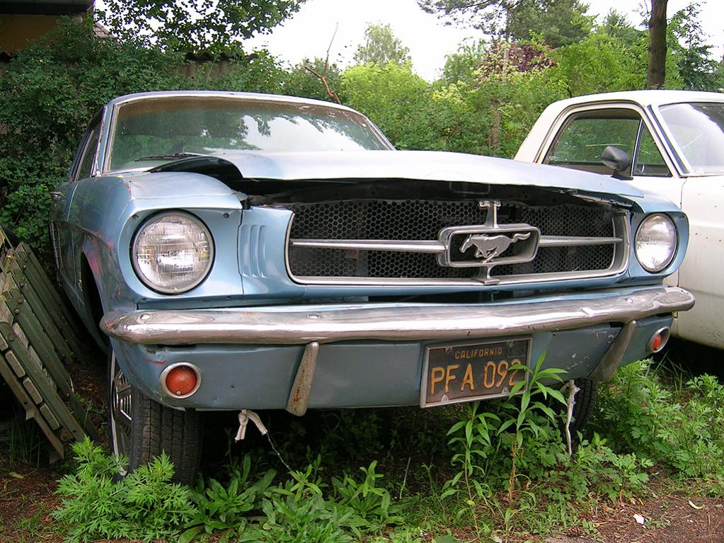 mustang