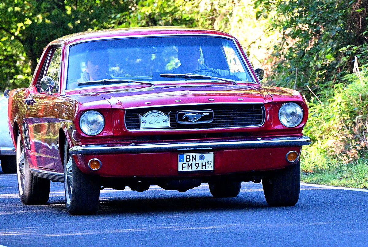 Mustang1.JPG